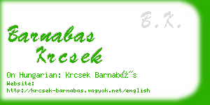 barnabas krcsek business card